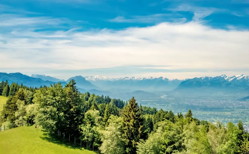  View from the Pfänder