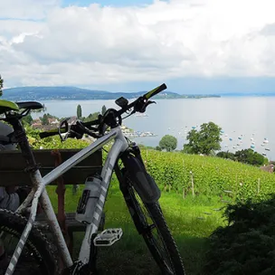 Blick auf den Untersee