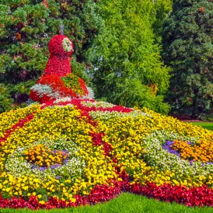 Bodensee-Radweg, Insel Mainau