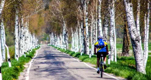 Der Donau-Bodensee-Radweg